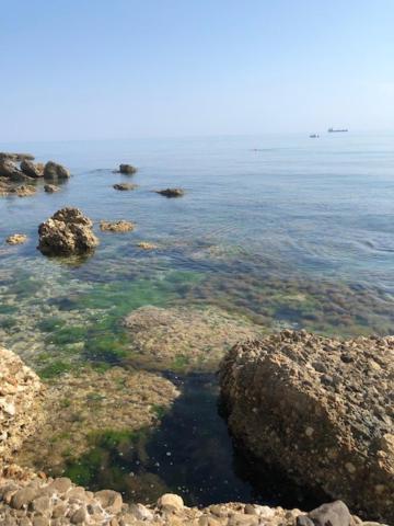 Piazza Verdi B&B Vasto Luaran gambar